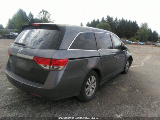 5FNRL5H46FB123234 Honda ODYSSEY EX