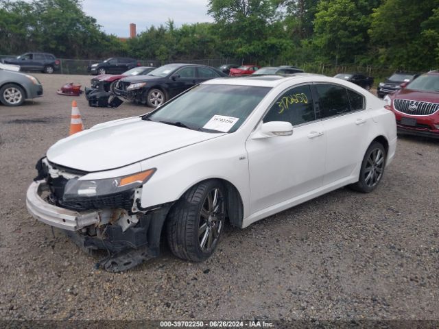 19UUA9F30EA800563 Acura TL