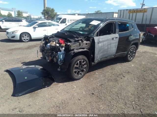 3C4NJDDB2LT196164 Jeep Compass Trailhawk 4x4