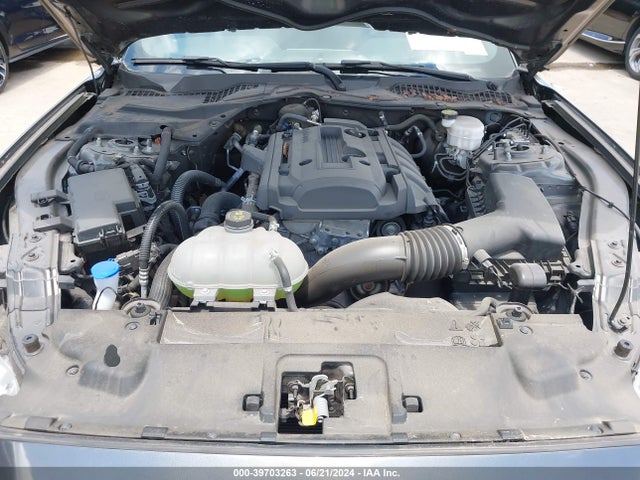 Ford Mustang Ecoboost Fastback 2020 1FA6P8TH3L5183977 Image 10