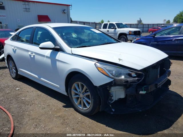2019 HYUNDAI SONATA 5NPE24AF8KH791975