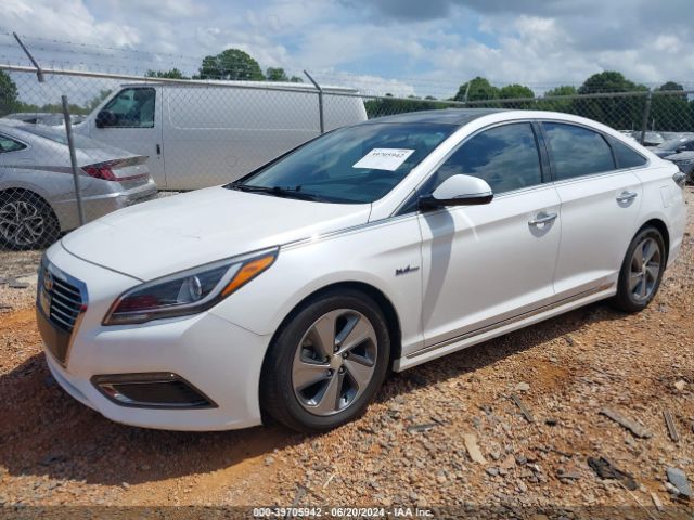 KMHE34L15GA017031 Hyundai Sonata Hybrid Limited