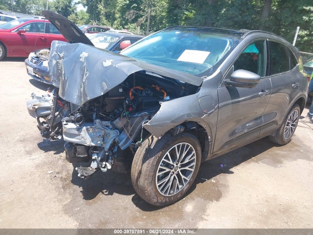 Ford Escape Phev 2024 1FMCU0E16RUA15803 Image 2