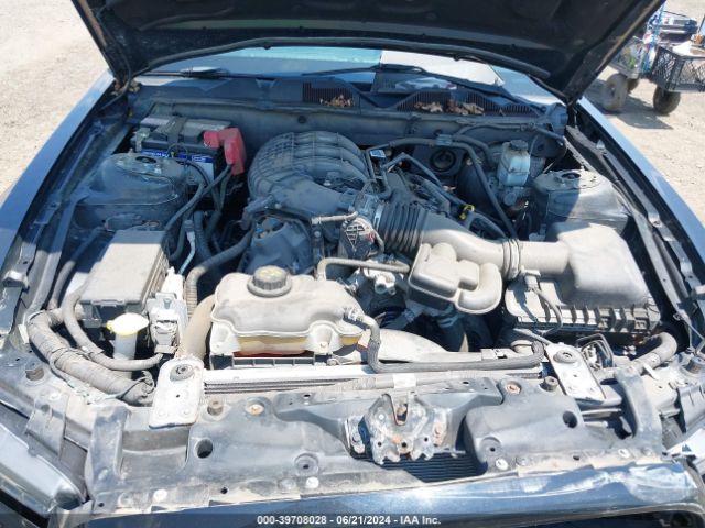 1ZVBP8AM8E5323952 Ford Mustang V6 Premium
