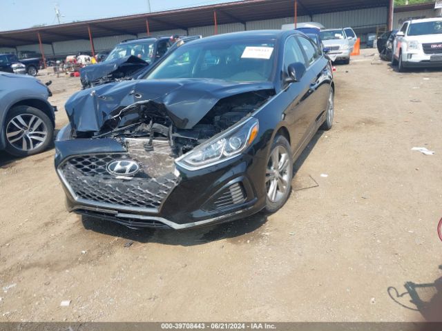 5NPE34AF7KH772007 Hyundai SONATA SEL