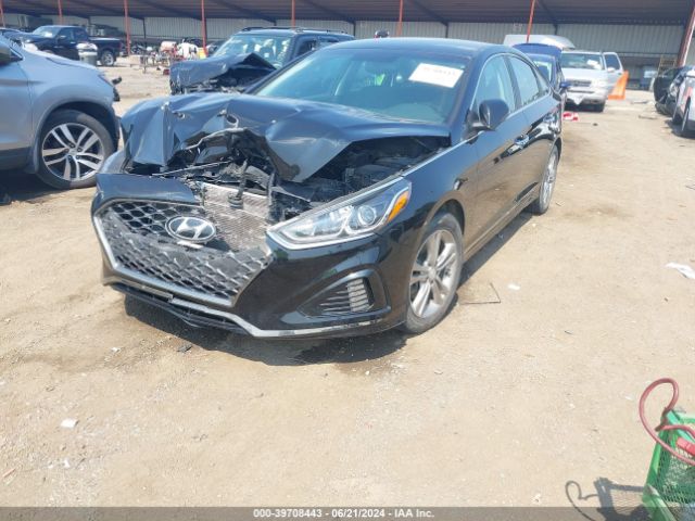5NPE34AF7KH772007 Hyundai SONATA SEL