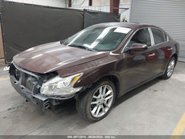 1N4AA5APXEC453645 Nissan Maxima 3.5 S/3.5 Sv