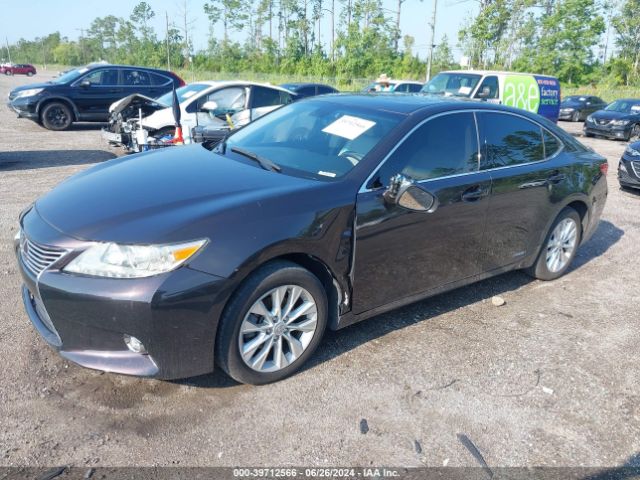 JTHBW1GGXF2094013 Lexus ES 300H