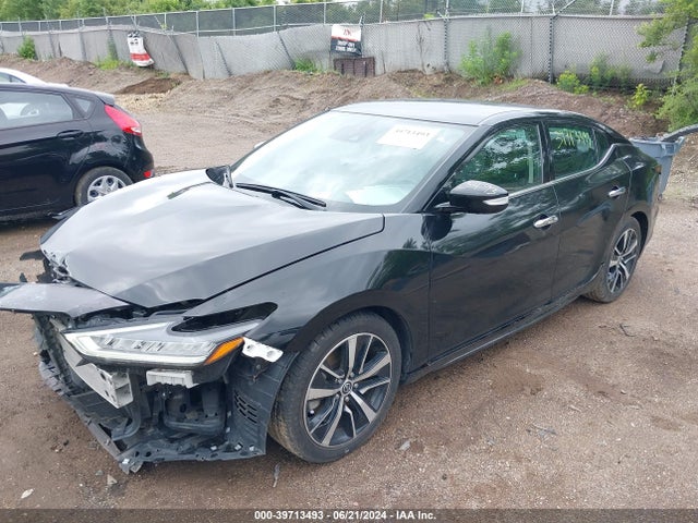 Nissan Maxima 2022 1N4AA6DV1NC502537 Image 2