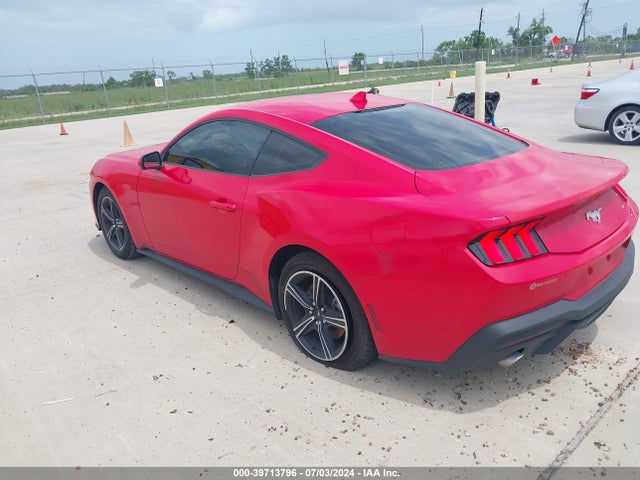 Ford Mustang Ecoboost Fastback 2024 1FA6P8TH1R5118618 Image 3