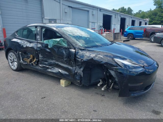 2022 TESLA MODEL 3 5YJ3E1EB0NF121151 Photo 5