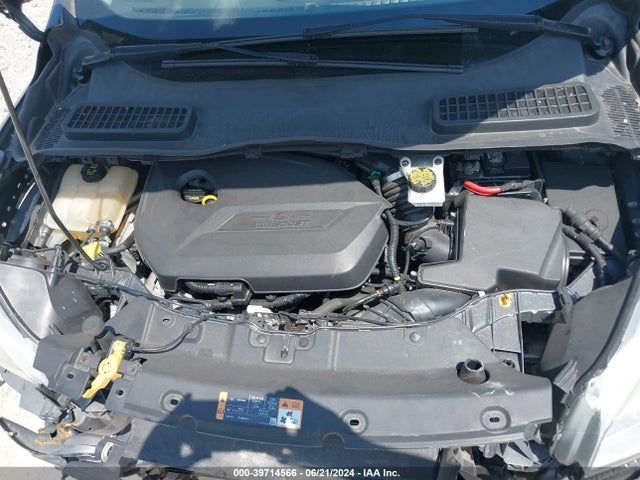 Ford ESCAPE SE 2014 1FMCU0GX0EUD92395 Image 10