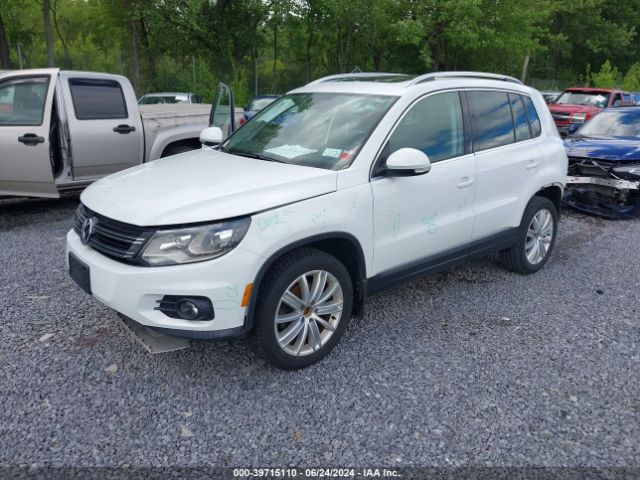 WVGBV7AX3GW577347 Volkswagen TIGUAN SE