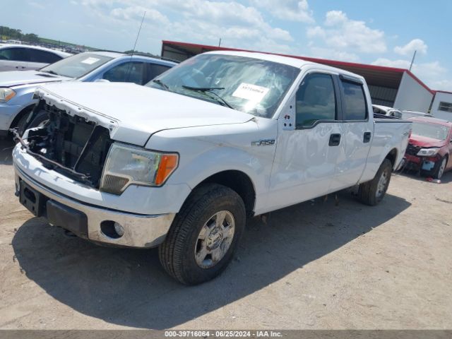 Ford F-150 Xlt 2014 1FTFW1EF4EKG48318 Image 2