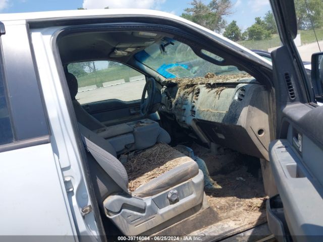 Ford F-150 Xlt 2014 1FTFW1EF4EKG48318 Image 5
