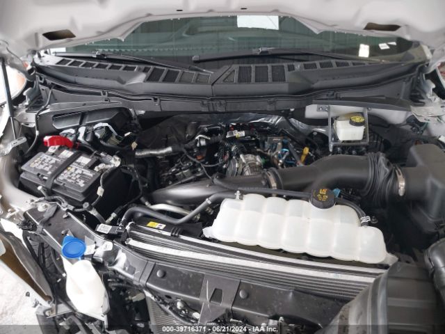 1FTEW2KP7RKD67599 Ford F-150 Stx