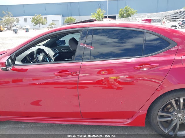 19UUB1F6XKA005671 Acura TLX