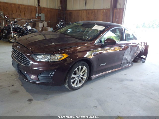 Ford Fusion Hybrid Se 2019 3FA6P0LUXKR212403 Image 2