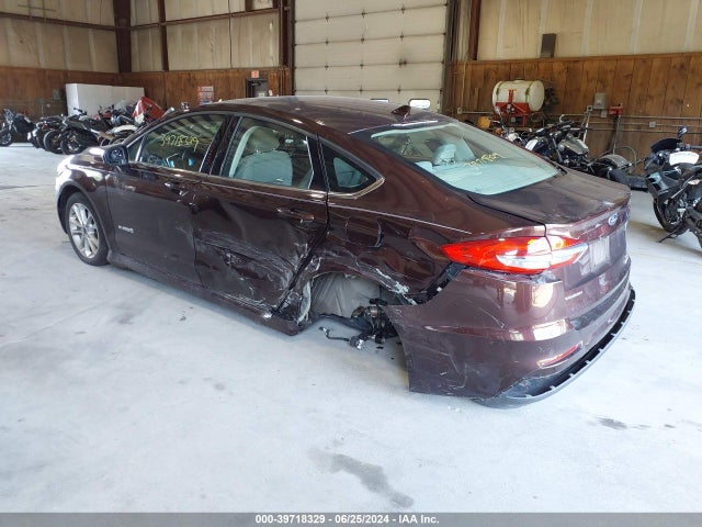 Ford Fusion Hybrid Se 2019 3FA6P0LUXKR212403 Image 3