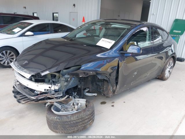 7SAYGDED5RF034308 Tesla Model Y Rwd