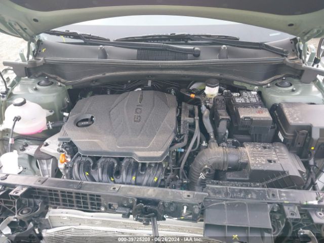 5XYK6CDF6RG162438 KIA Sportage X-line