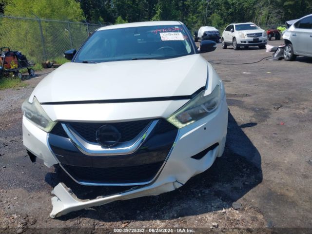 1N4AA6AP9GC423206 Nissan Maxima 3.5 Platinum/3.5 S/3.5 Sl/3.5 Sr/3.5 Sv