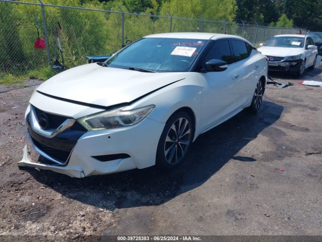 1N4AA6AP9GC423206 Nissan Maxima 3.5 Platinum/3.5 S/3.5 Sl/3.5 Sr/3.5 Sv