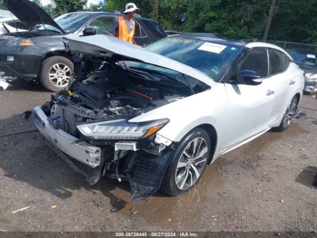 1N4AA6AV4KC365349 Nissan Maxima 3.5 Sl