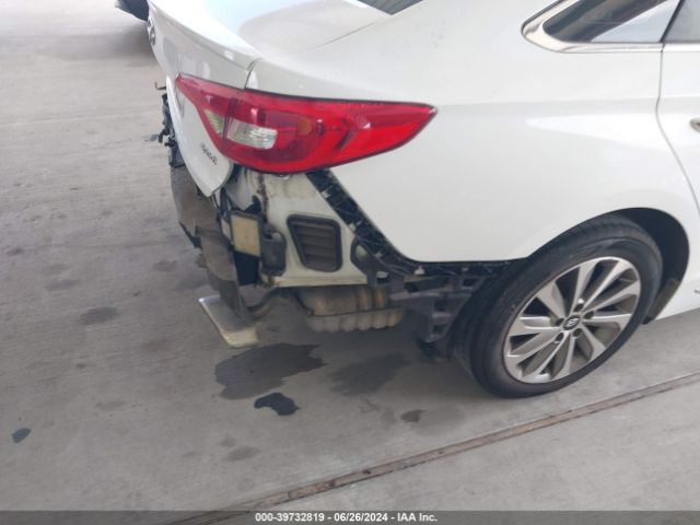 5NPE34AF5FH252717 Hyundai Sonata Sport