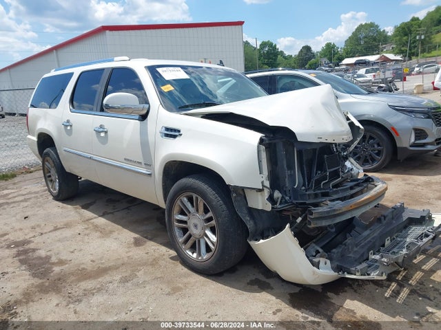 2010 CADILLAC ESCALADE ESV 1GYUKJEF8AR181466 Photo 0