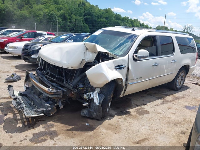 2010 CADILLAC ESCALADE ESV 1GYUKJEF8AR181466 Photo 1