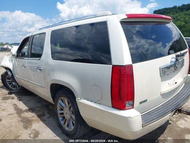 2010 CADILLAC ESCALADE ESV 1GYUKJEF8AR181466 Photo 2