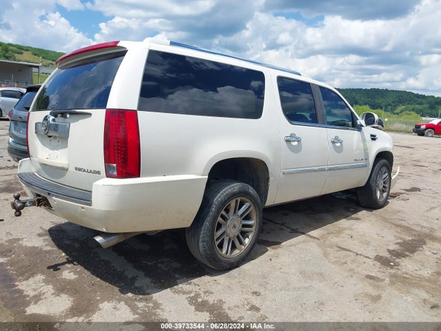 2010 CADILLAC ESCALADE ESV 1GYUKJEF8AR181466 Photo 3