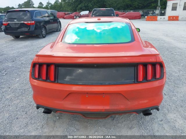 1FA6P8CF4F5313736 Ford Mustang Gt Premium