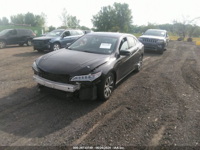 19UUB1F36FA001256 Acura TLX