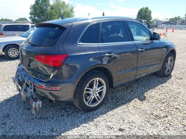 WA1D7AFP7GA116494 Audi Q5 3.0t Premium Plus