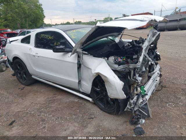 1ZVBP8AM6E5261774 Ford Mustang V6