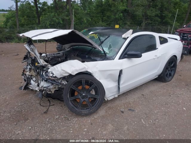 1ZVBP8AM6E5261774 Ford Mustang V6
