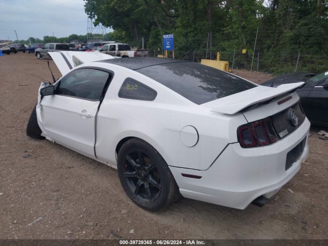 1ZVBP8AM6E5261774 Ford Mustang V6