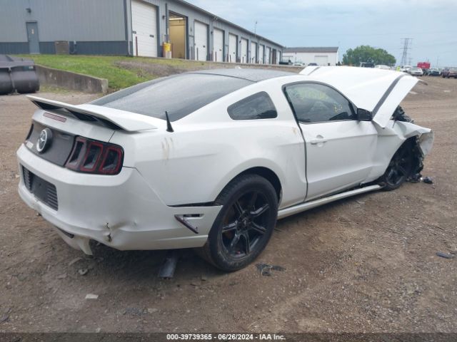 1ZVBP8AM6E5261774 Ford Mustang V6