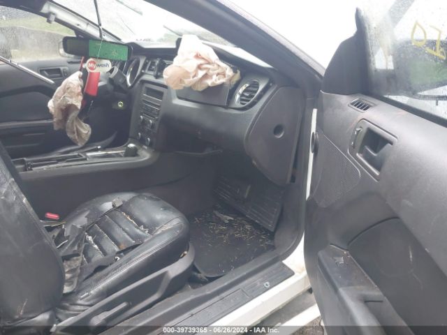 1ZVBP8AM6E5261774 Ford Mustang V6