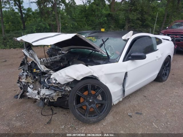 1ZVBP8AM6E5261774 Ford Mustang V6