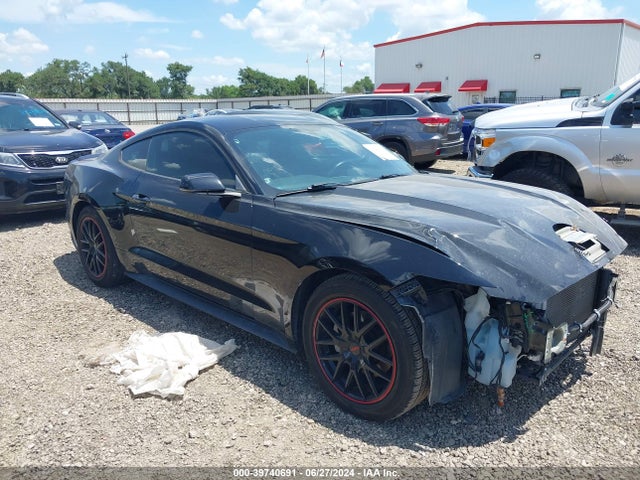 2017 1FA6P8TH7H5339932 main image