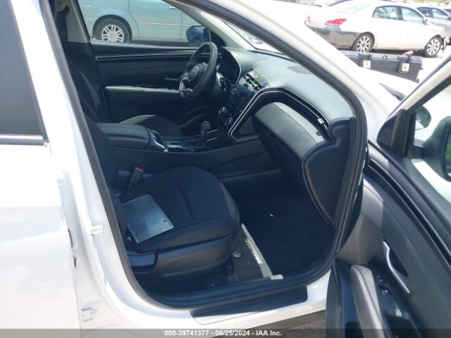 Hyundai TUCSON SEL 2023 5NMJB3AE5PH186932 Image 5