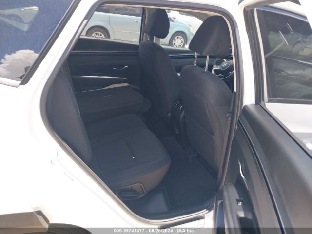 Hyundai TUCSON SEL 2023 5NMJB3AE5PH186932 Image 8