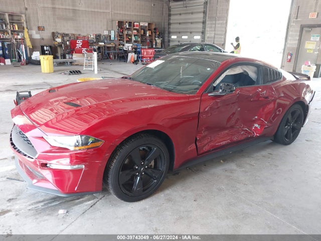 Ford Mustang Ecoboost Fastback 2021 1FA6P8TH0M5149335 Image 2