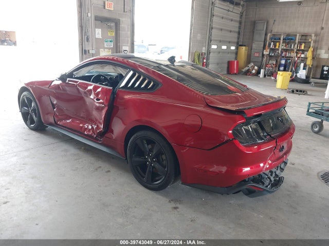 Ford Mustang Ecoboost Fastback 2021 1FA6P8TH0M5149335 Image 3