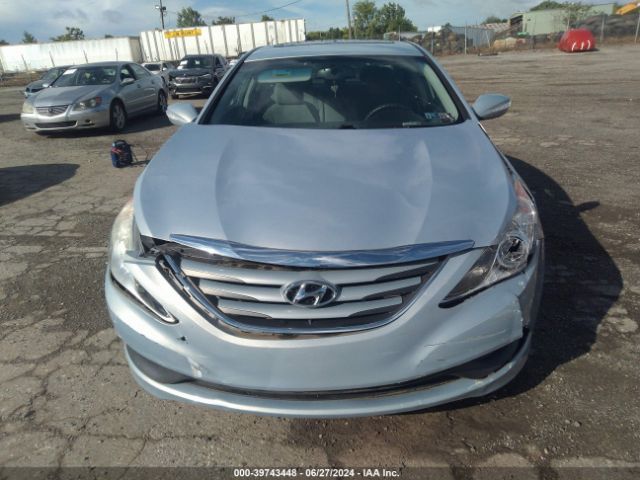 5NPEB4AC6EH829763 Hyundai SONATA GLS