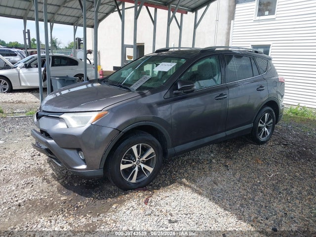 Toyota Rav4 Xle 2016 2T3RFREV0GW495448 Image 2