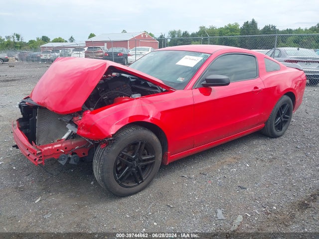 Ford Mustang V6 2014 1ZVBP8AM2E5214709 Image 2